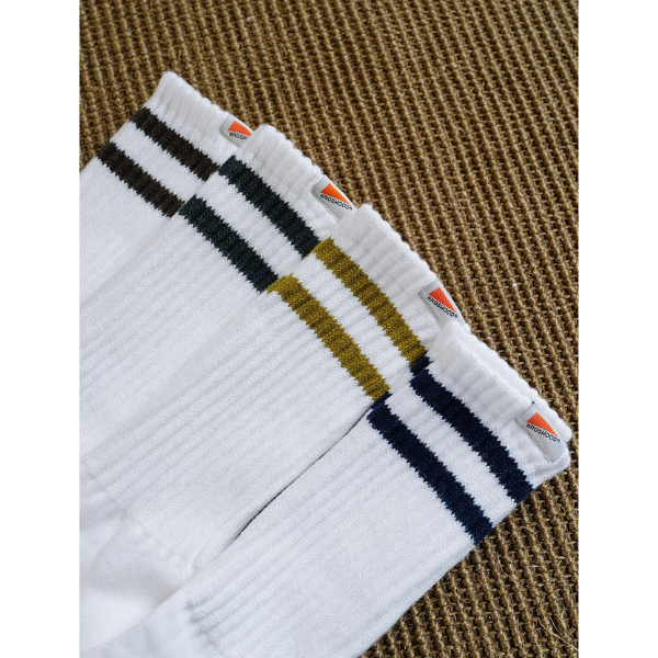 Border color design socks E063